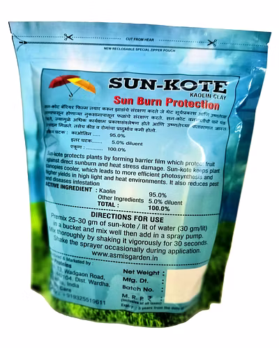 SUN-KOTE (KAOLIN CLAY)-4