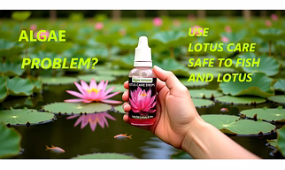 Lotus care drops