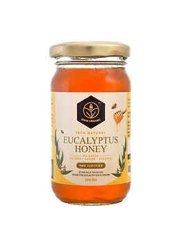 Shiva Organic Eucalyptus Honey 250g