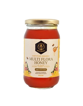 Shiva Organic Multi Flora Honey - Certified Organic 500g