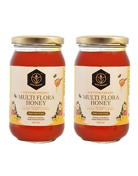 Shiva Organic Multi Flora Honey - Certified Organic 1kg