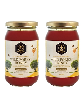 Shiva Organic Wild Forest Honey - Certified Organic 1kg