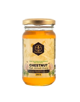 Shiva Organic Chestnut High Altitude Honey 250g