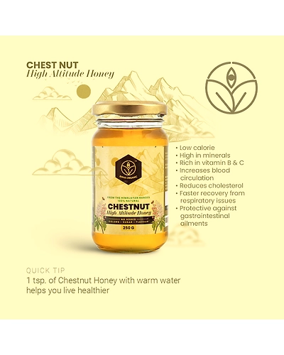 Shiva Organic Chestnut High Altitude Honey 250g-4