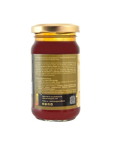 Shiva Organic Kedarnath High Altitude Honey 250g-3
