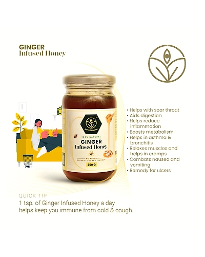 Shiva Organic Ginger Infused Honey 250g-3