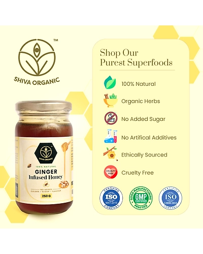 Shiva Organic Ginger Infused Honey 250g-4