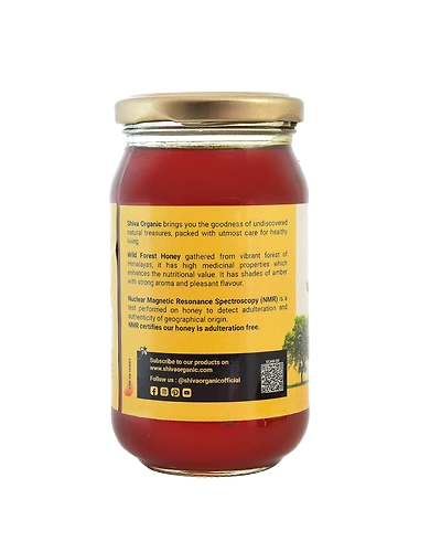 Shiva Organic Wild Forest Honey - Certified Organic 500g-2