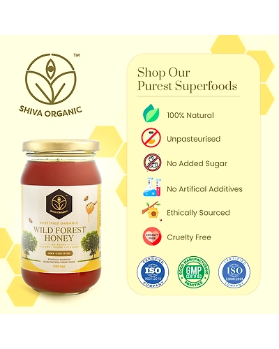 Shiva Organic Wild Forest Honey - Certified Organic 500g-4
