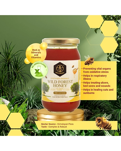 Shiva Organic Wild Forest Honey - Certified Organic 250g-3