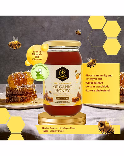 Shiva Organic Certified Organic Honey 500g-3