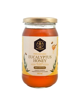 Shiva Organic Eucalyptus Honey 500g