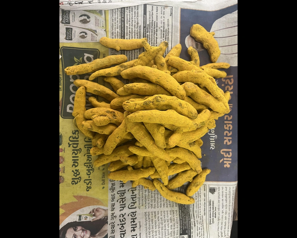 Turmeric Finger-3