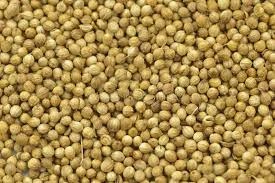 Coriander Seeds-12633684