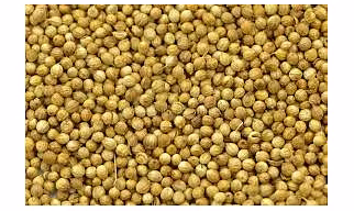 Coriander Seeds