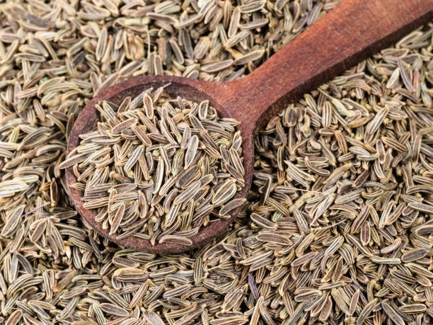 Cumin Seeds-12633686