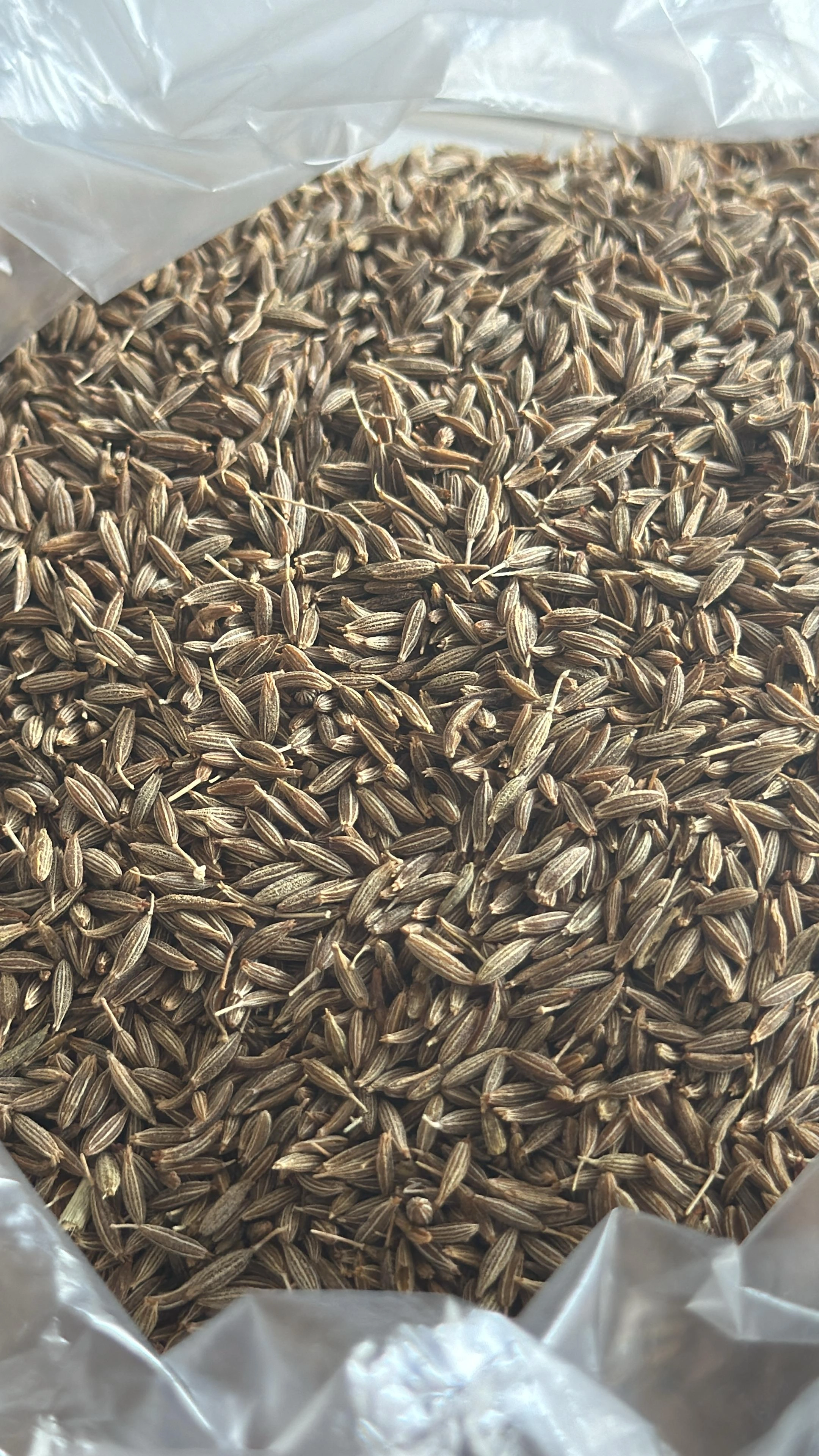 Cumin Seeds-2