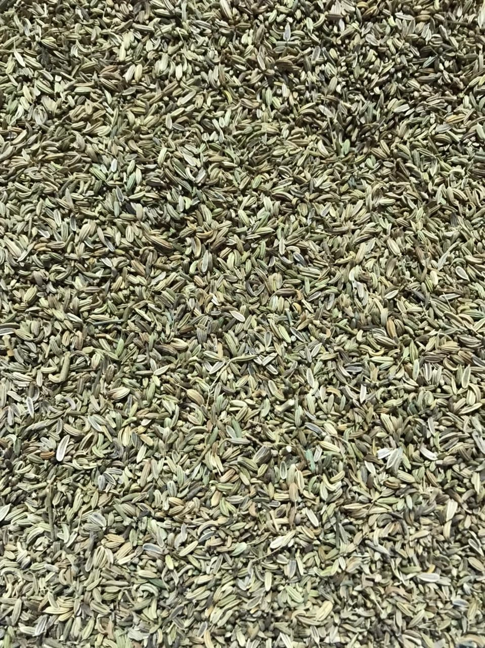 Fennel Seeds-1