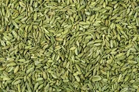 Fennel Seeds-2