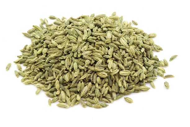 Fennel Seeds-4