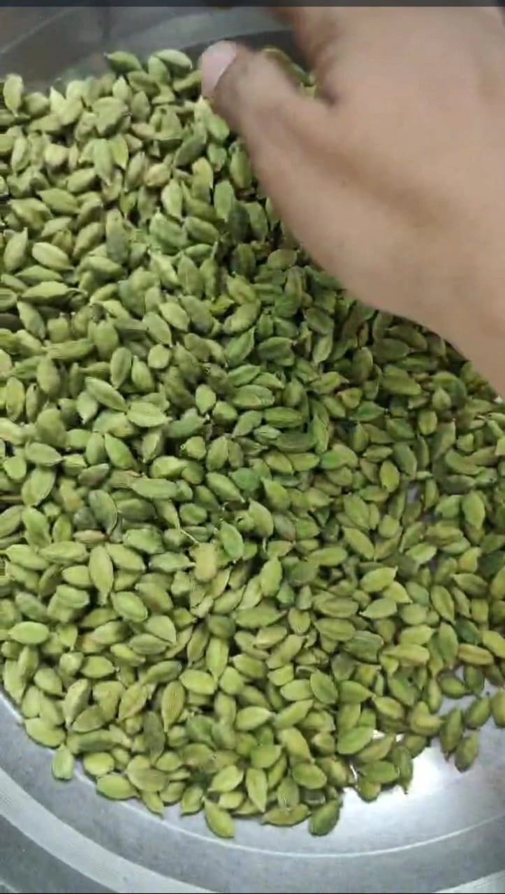 Green Cardamom-12633690