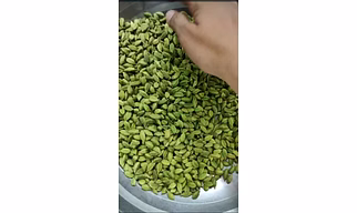 Green Cardamom