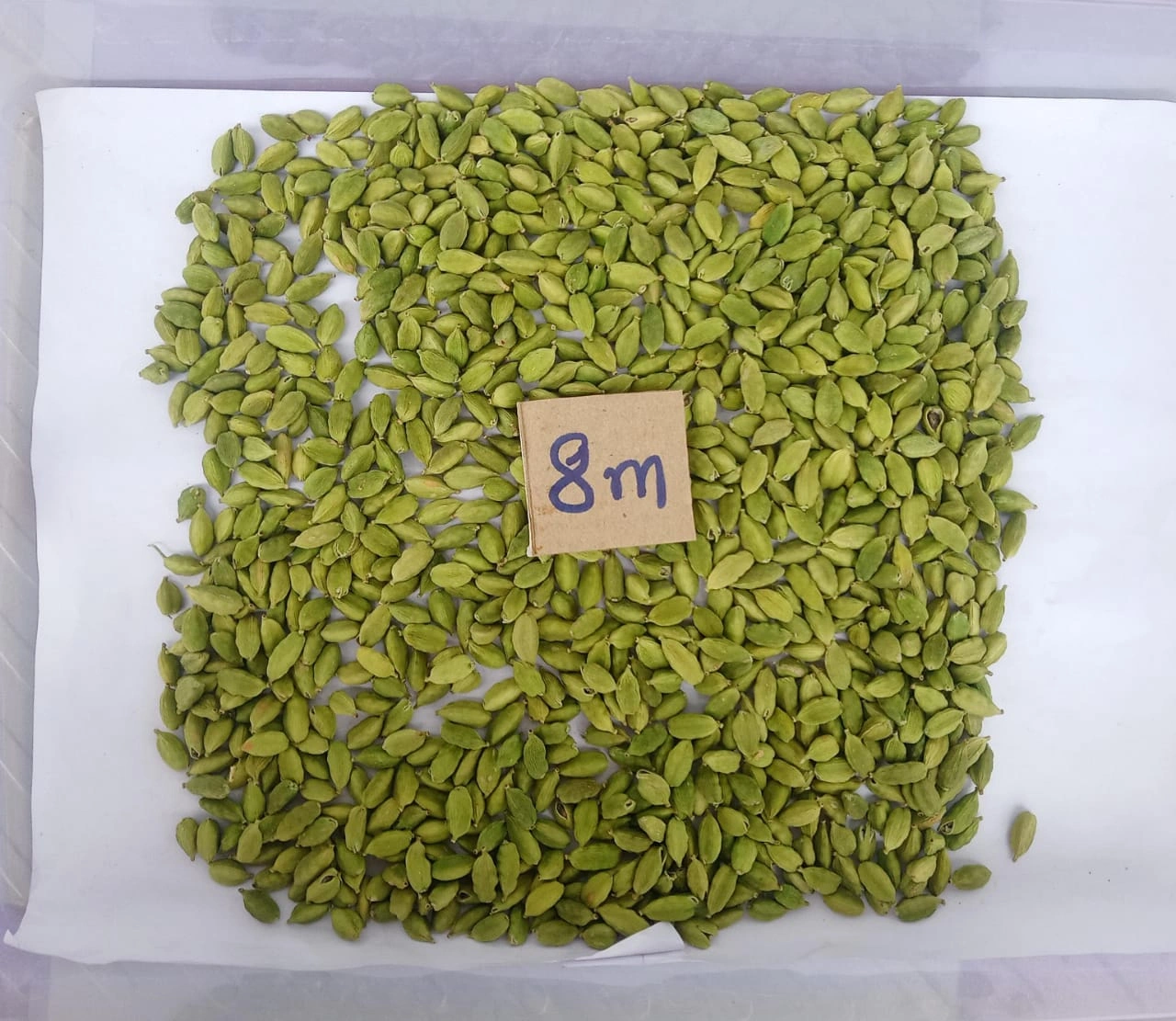 Green Cardamom-1