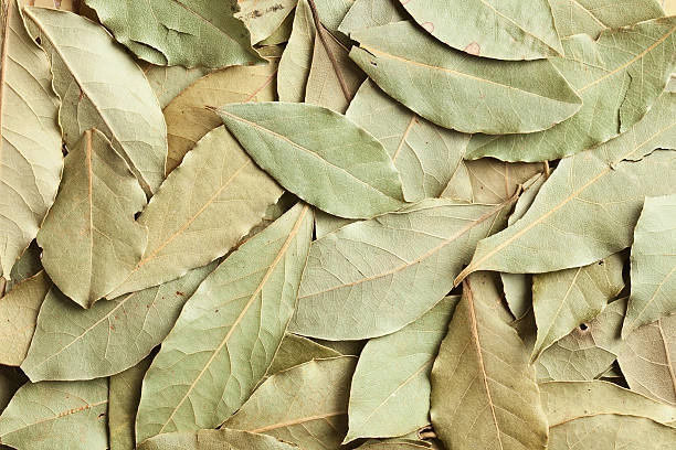 Bay Leaves-12633692