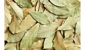 Bay Leaves
