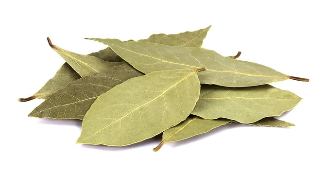 Bay Leaves-1