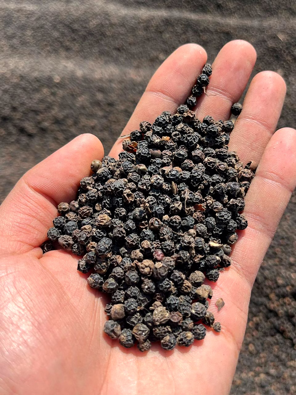 black pepper