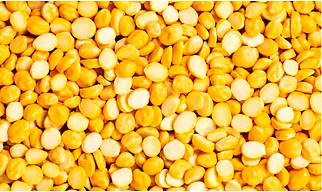 Chana Dal / Yellow Split Chickpeas