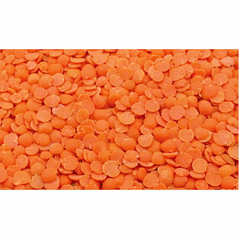 masoor dal / red split lentil