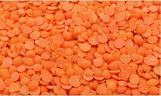 Masoor Dal / Red Split Lentil