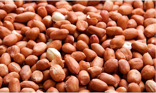 Peanuts