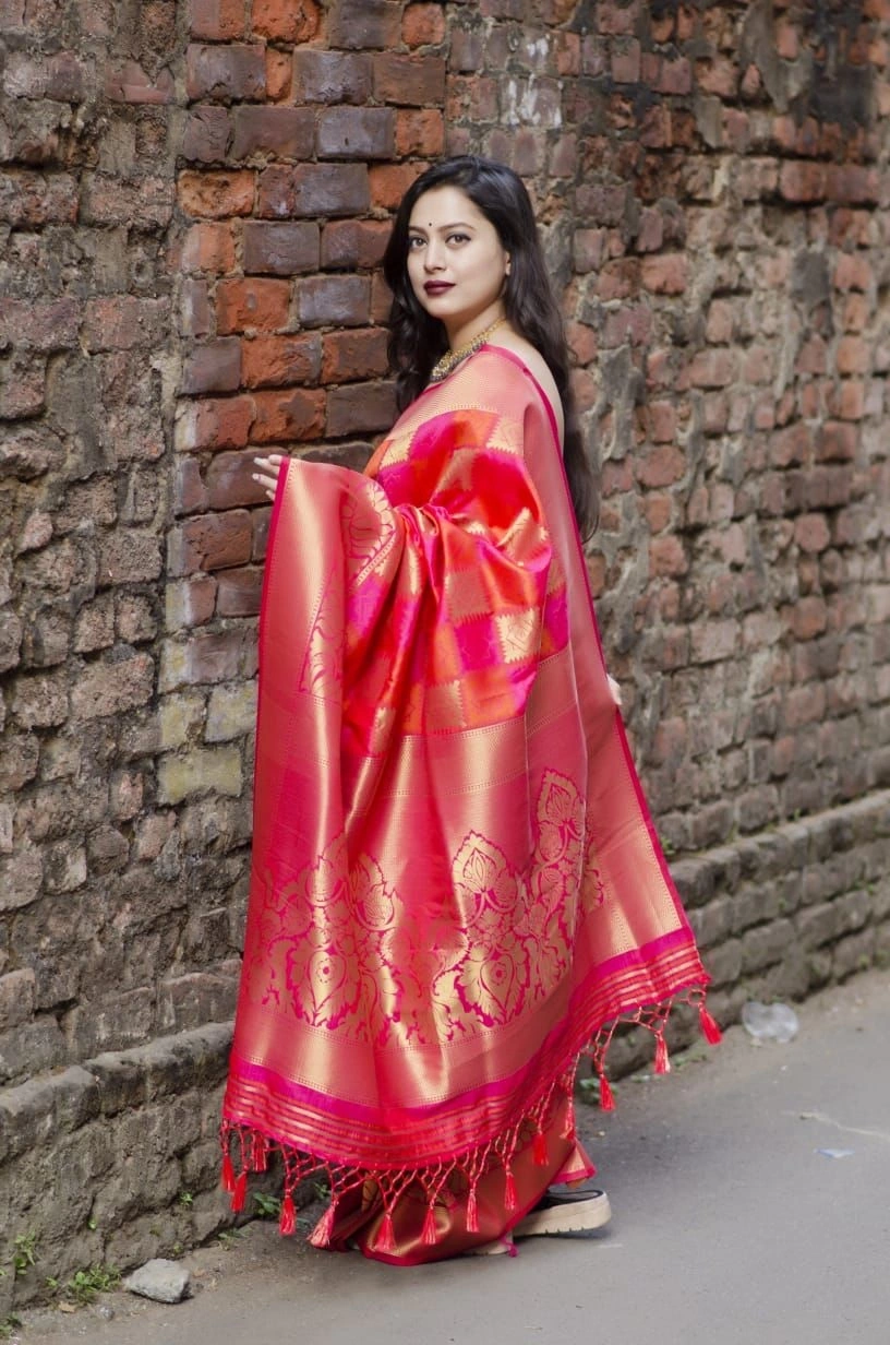 Saree 1-Ok219