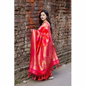 Saree 1 Ok143