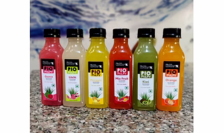 Fruit Pulp