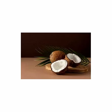 Semi-Husk Coconut-3