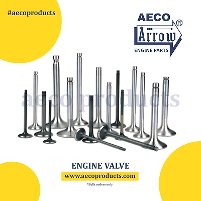 Engine Valves-12358488