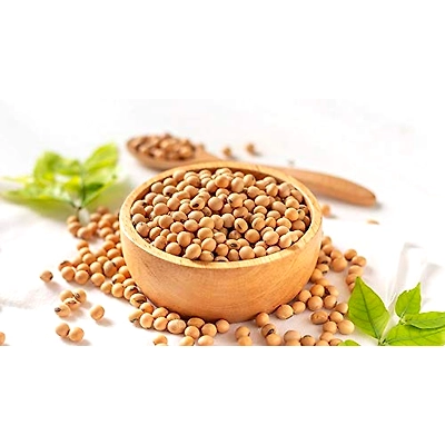 PULSES&amp;GRAINS-12464874