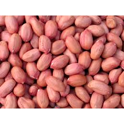 PULSES&amp;GRAINS-1