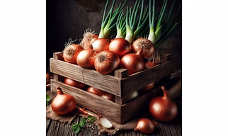 Onion