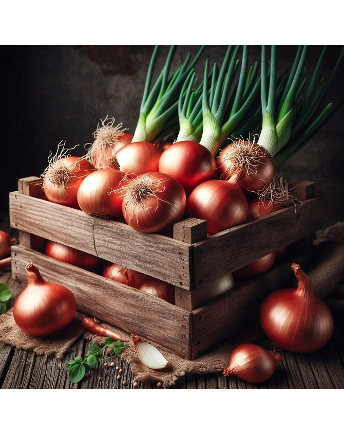 Onion-1