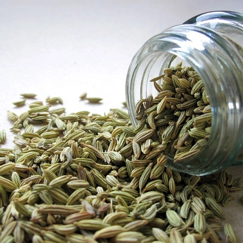 Fennel Seeds-Wo1051