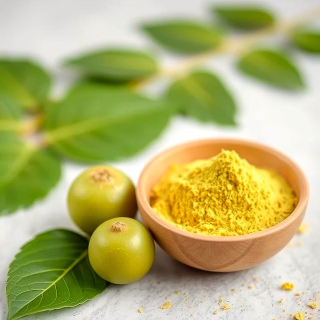 Amla Powder image 1