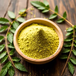 curry leaves powder