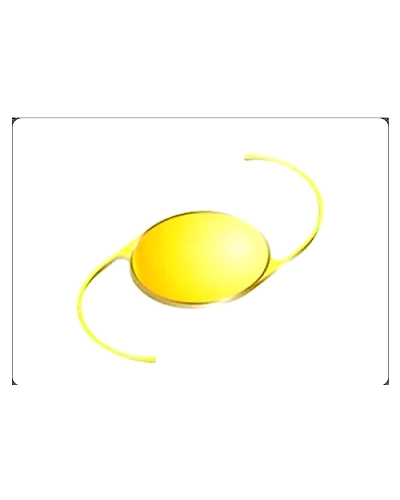 Foldable Posterior Chamber PMMA Intraocular Lenses-12397184
