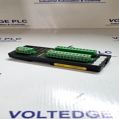 TURCK FDN20-16XSG DEVICE NET BUS INTERFACE MODULE-1