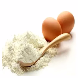 egg whole powder